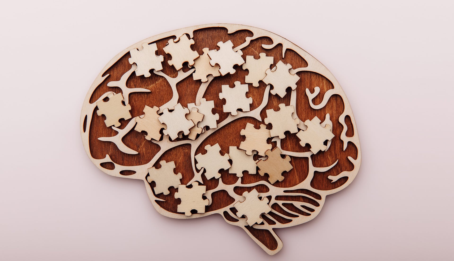 migraine foudation aotearoa new zealand migraine types 1