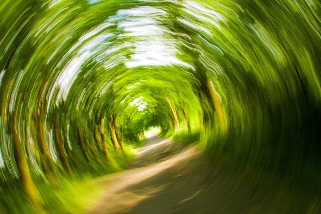 trees 358418 1280