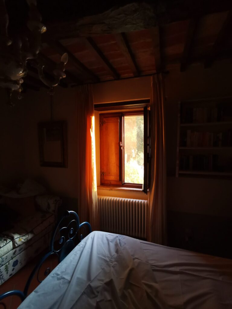 window